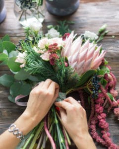 le jardin de Cedric le jardin de Cedric