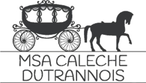 logo-MSA-caleche logo MSA caleche