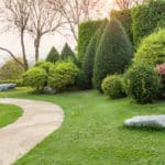 Comment entretenir son jardin tout au long de l’année ? Paysagiste blog